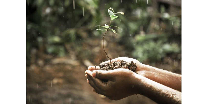 Què és la pluja sòlida?