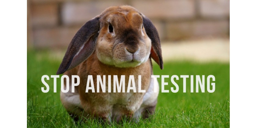 Cómo saber si un producto está testado en animales?
